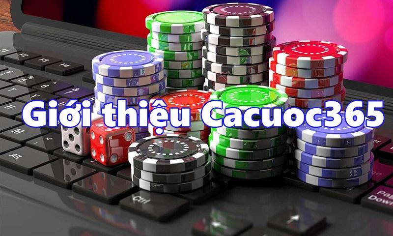 Khám phá top game online hay trên thế giới được yêu thích nhất hiện nay